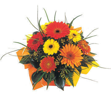 Ideas for card messages to say get well soon